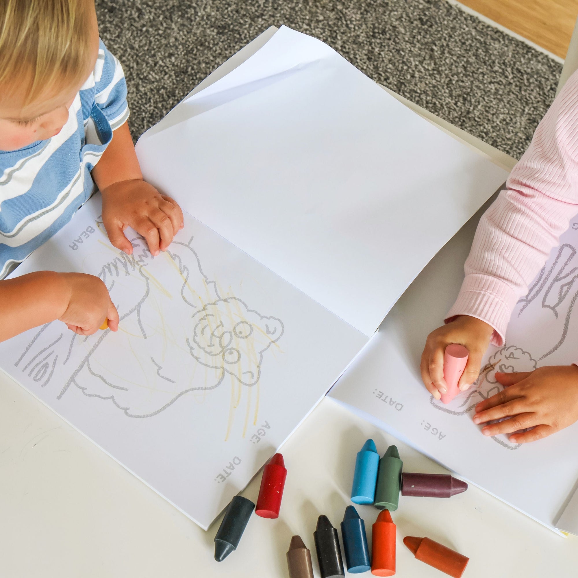 Little Artists Colouring Set - Endangered Animals - Ages 1-3 (10% off)