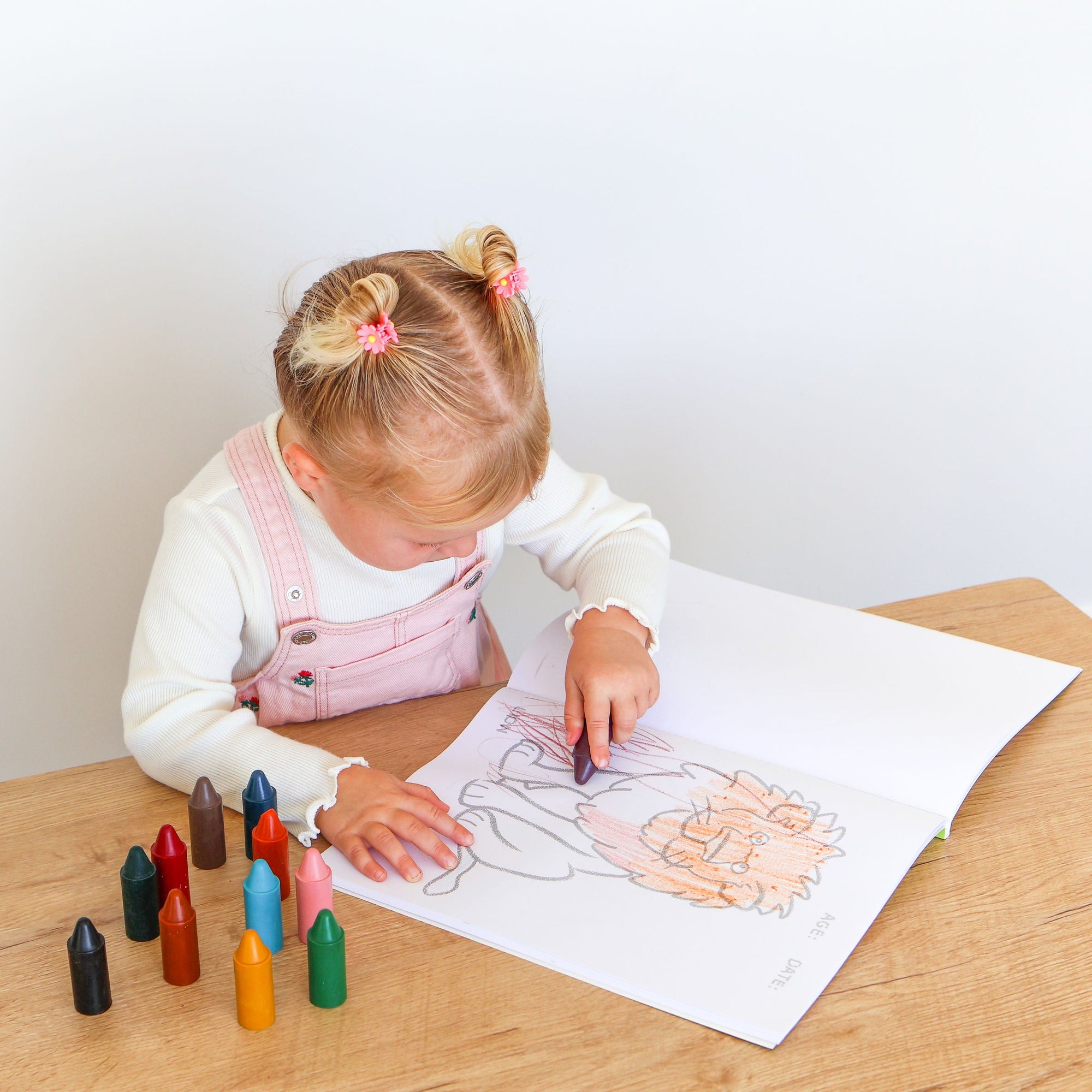 Little Artists Colouring Set - Endangered Animals - Ages 1-3 (10% off)
